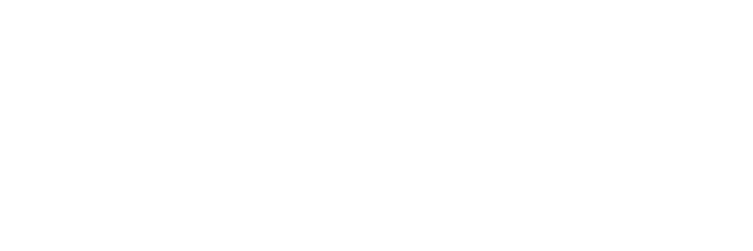 Digitallyz logo